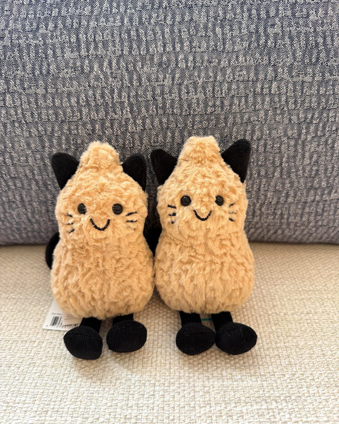 Jellycat｜Peanut Cat Outfit 花生猫 萬聖節限定 貓咪花生 萬聖節 毛絨玩具 15cm