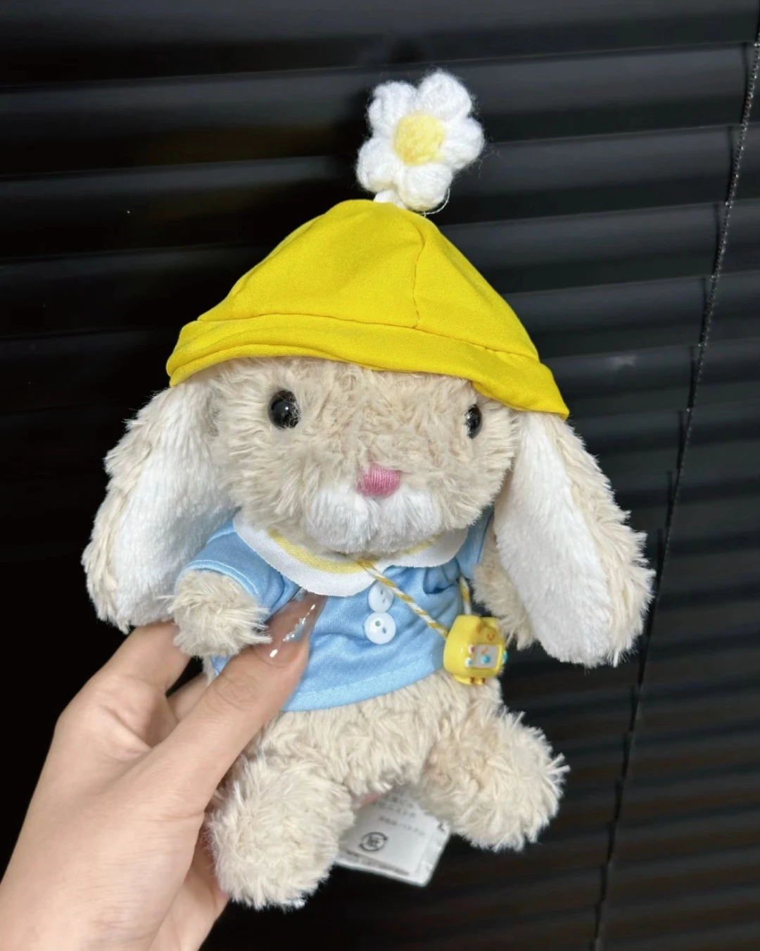 4285_6aa9f058166c3.jpg.webp
