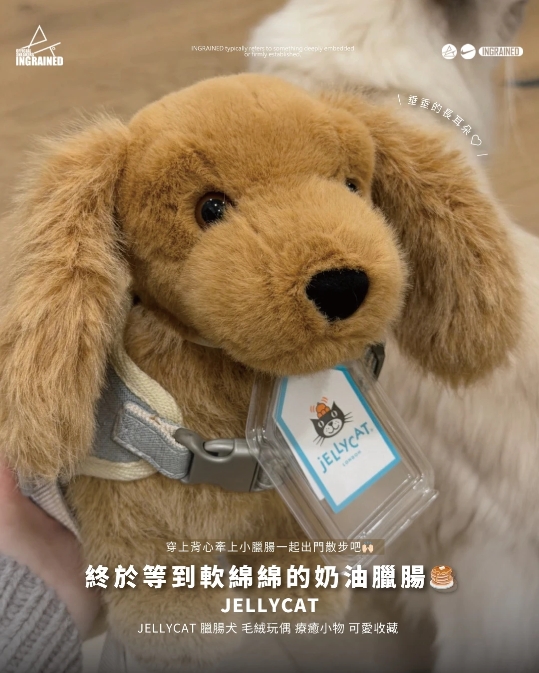 Jellycat｜臘腸犬 毛絨玩偶 可愛小物 療癒收藏 SAS3DOG