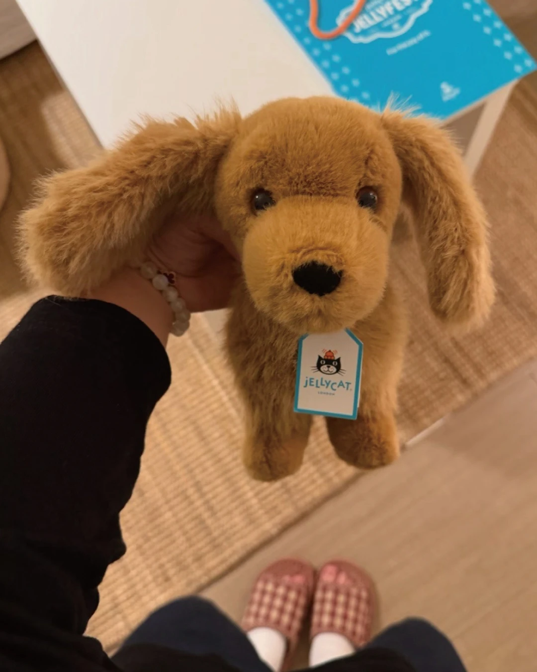 Jellycat｜臘腸犬 毛絨玩偶 可愛小物 療癒收藏 SAS3DOG