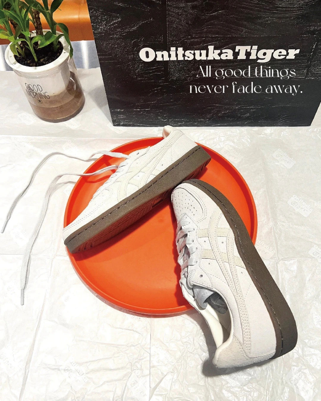 INGRAINED｜Onitsuka Tiger｜Onitsuka Tiger GSM 薄荷拿鐵 復古球鞋 焦糖鞋底 百搭球鞋 1183C436-020