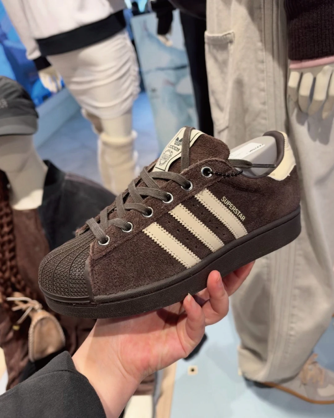 ADIDAS｜Adidas Superstar II 巧克力色貝殼鞋 愛迪達 潮流單品 秋冬穿搭 KZ6465