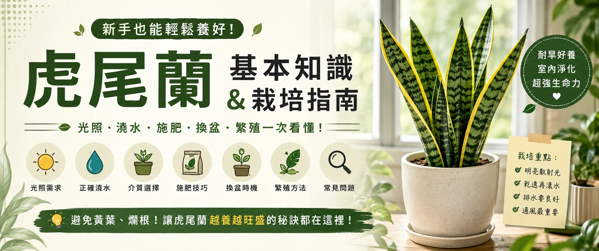 虎尾蘭栽培全攻略 虎尾蘭栽培全攻略