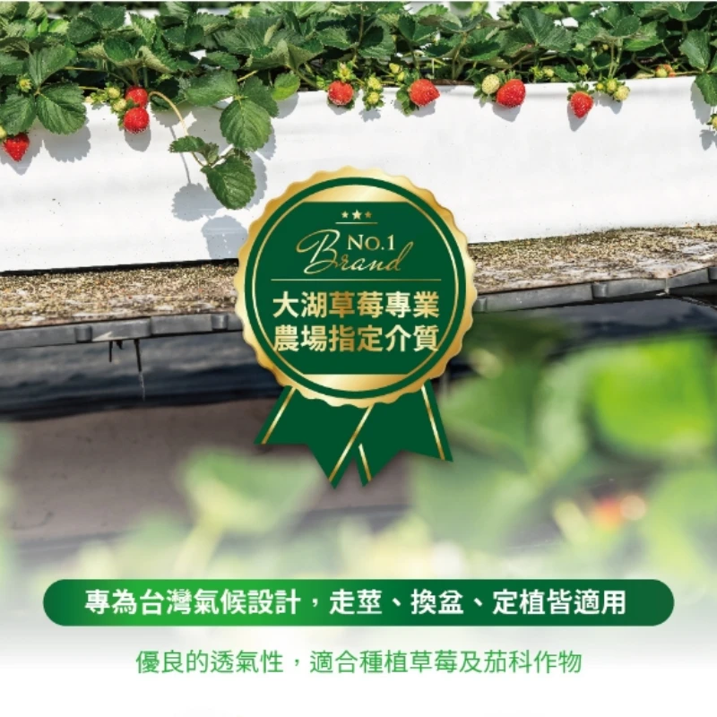 草莓土壤