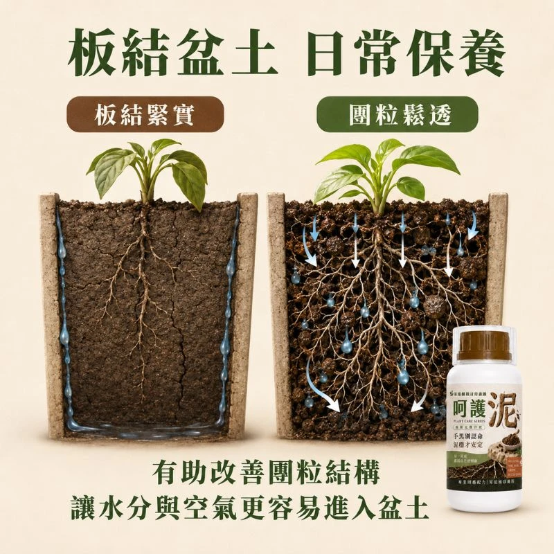 別只顧著施肥！土壤健康的三大支柱 團粒結構、礦物平衡、胺基酸＋有機質