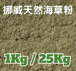 挪威天然海草粉 液肥材料海藻粉