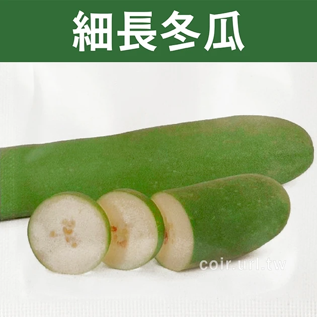 細長冬瓜種子 Wax Gourd