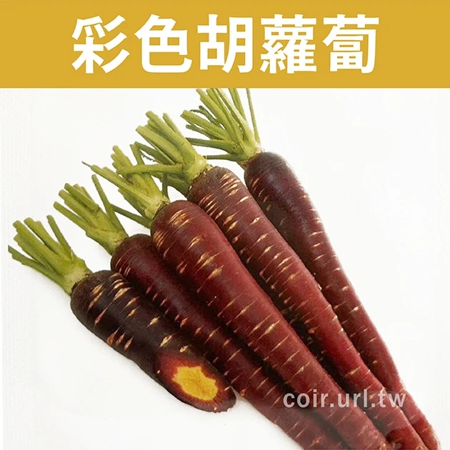 彩色胡蘿蔔（紫皮黃心）Carrot種子