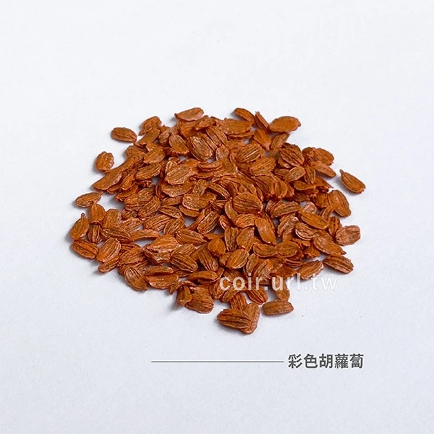 彩色胡蘿蔔（紫皮黃心）Carrot種子