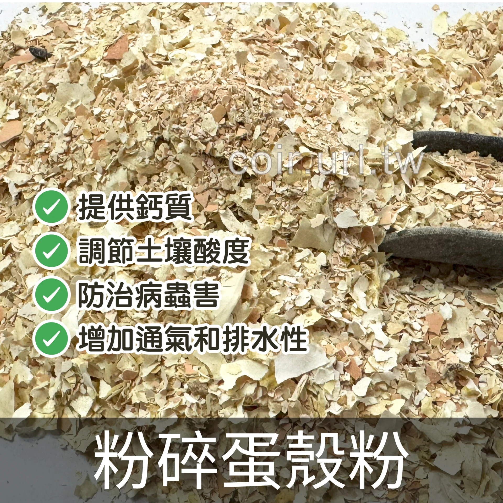 粉碎蛋殼粉(碎粒粉狀) 天然碳酸鈣