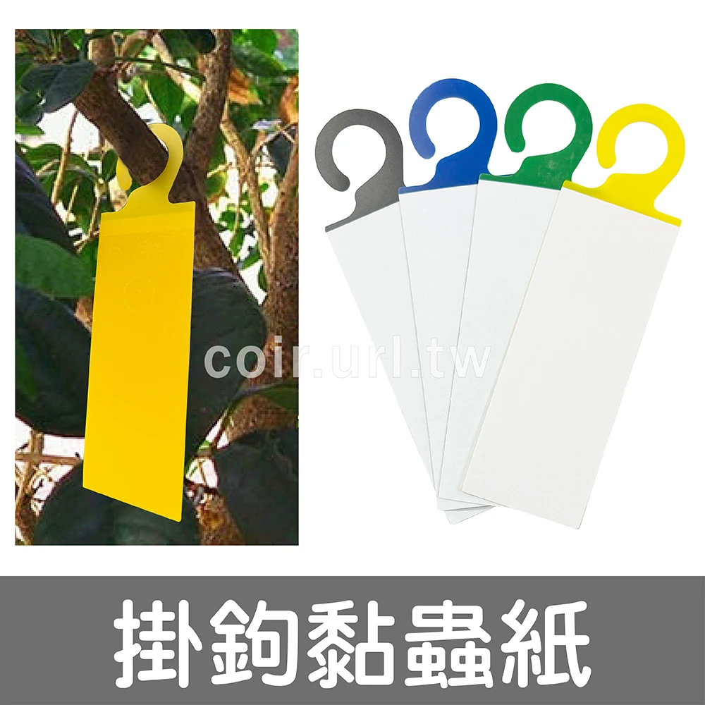 掛鉤黏蟲紙 PP雙面誘捕卡 5張入