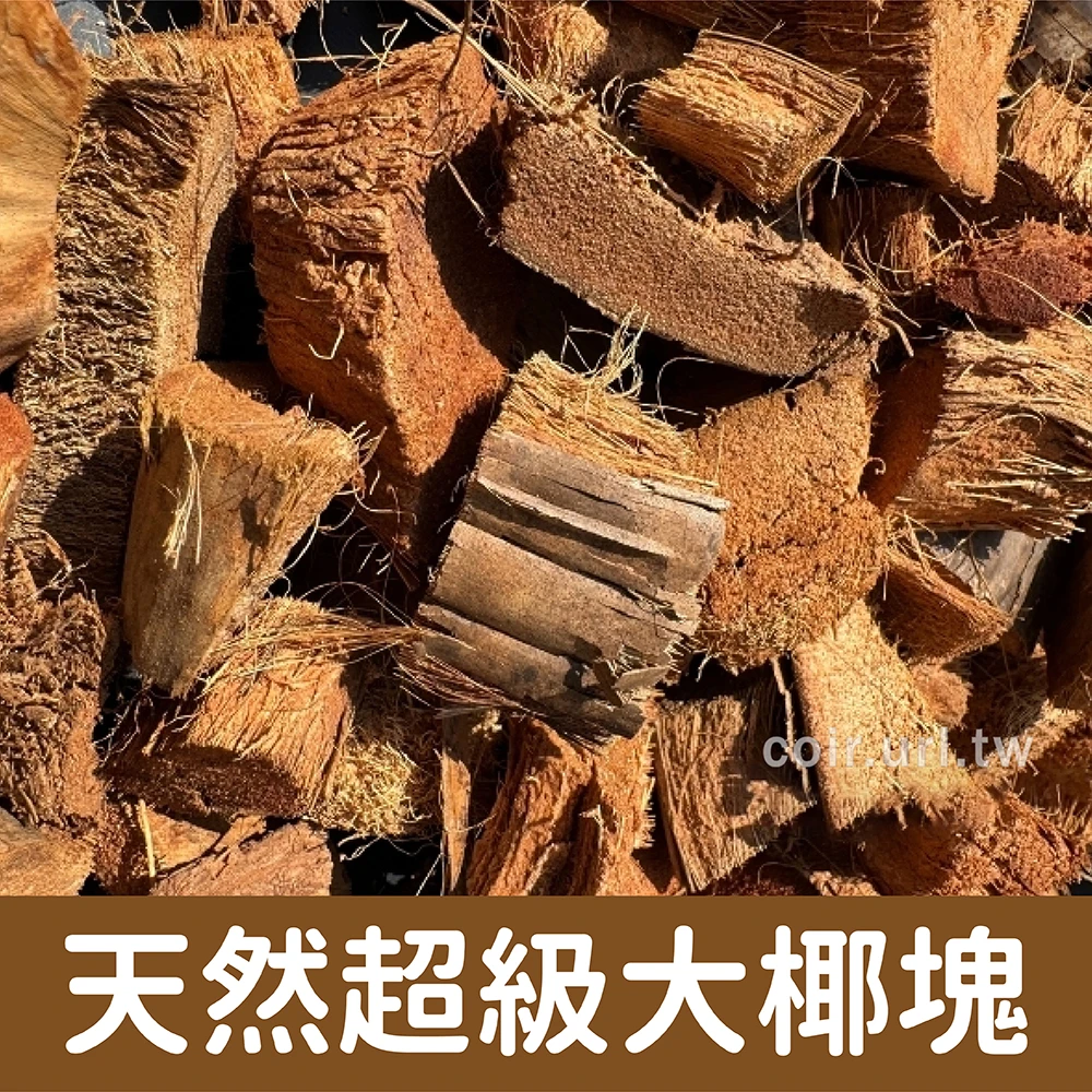 天然超級大椰塊Coconut husk 高保水椰殼塊