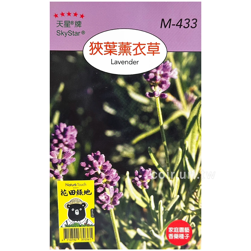 狹葉薰衣草種子 Lavender 英國真薰衣草 狹葉薰衣草種子 Lavender 英國真薰衣草