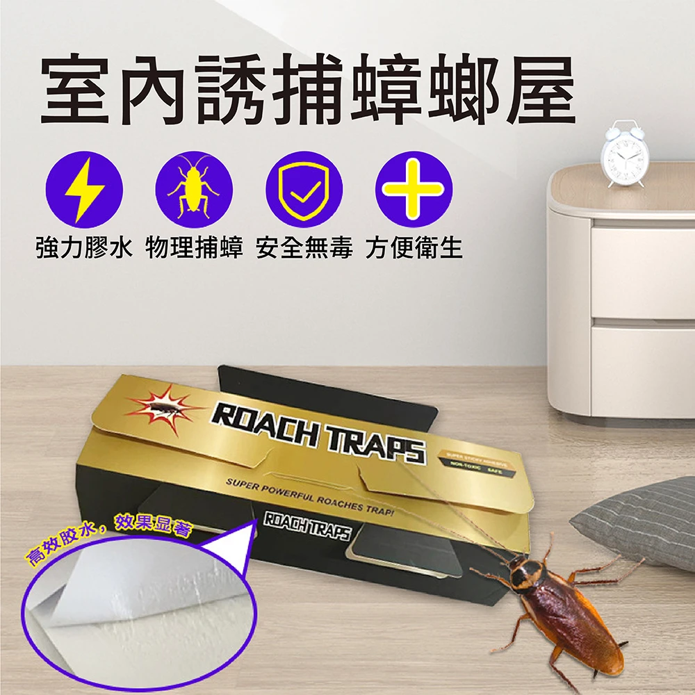 室內誘捕蟑螂屋 臭蟲