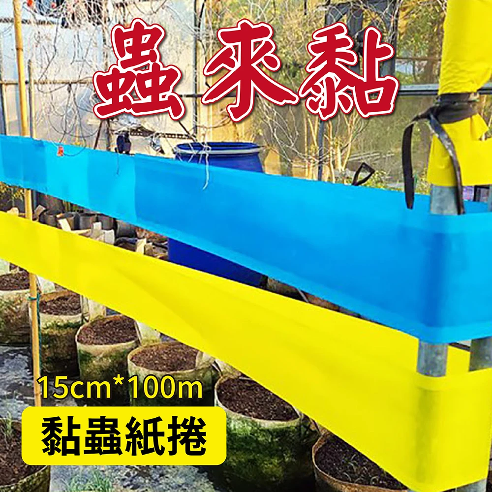 蟲來黏-黏蟲紙捲(15cm*100m)雙面黏蟲帶