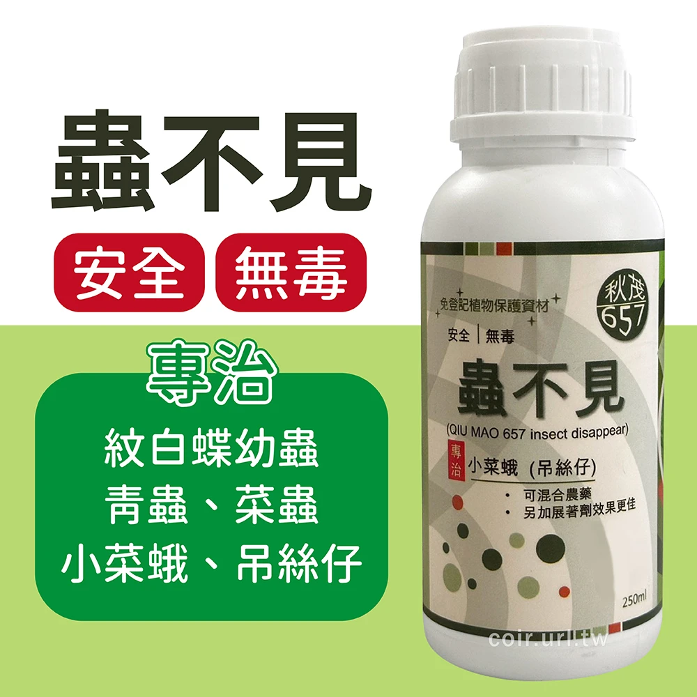 蟲不見(專治小菜蛾菜蟲青蟲吊絲仔)