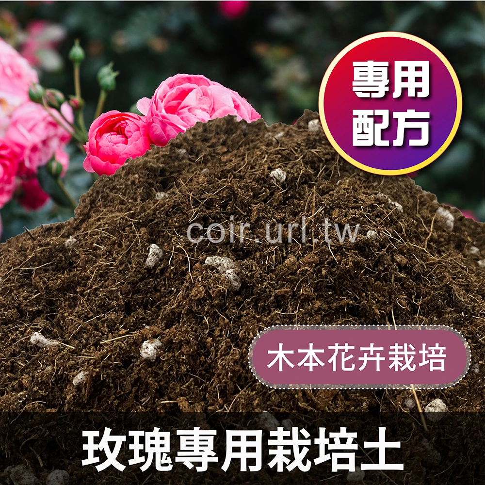 玫瑰專用栽培土 木本育苗 桂花木本花卉栽培