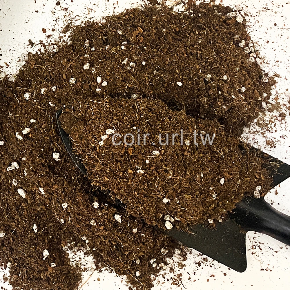 玫瑰專用栽培土 木本育苗 桂花木本花卉栽培