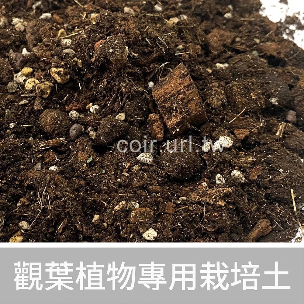 觀葉植物專用栽培土1公升 雨林植物配方 室內培養土