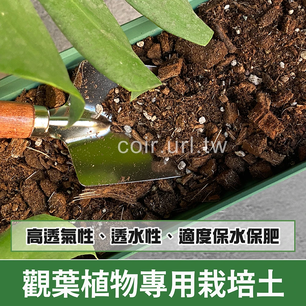 觀葉植物專用栽培土、雨林植物配方 室內培養土