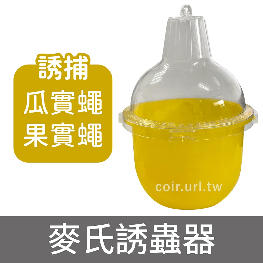 麥氏誘蟲器 瓜實蠅果實蠅誘捕 果蠅餌