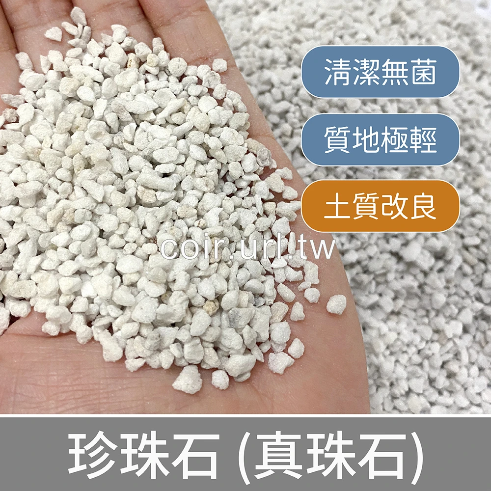 珍珠石原裝包