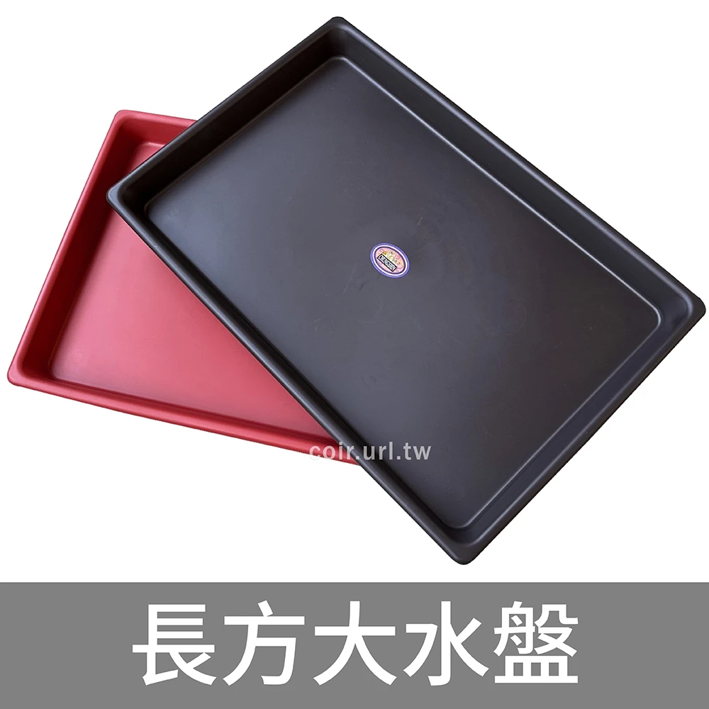 長方大水盤69x46cm（忠興） 花園夢想家
