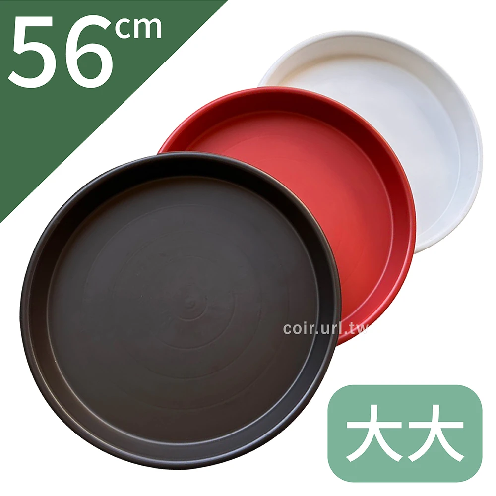 56cm大大水盤(內徑49cm)