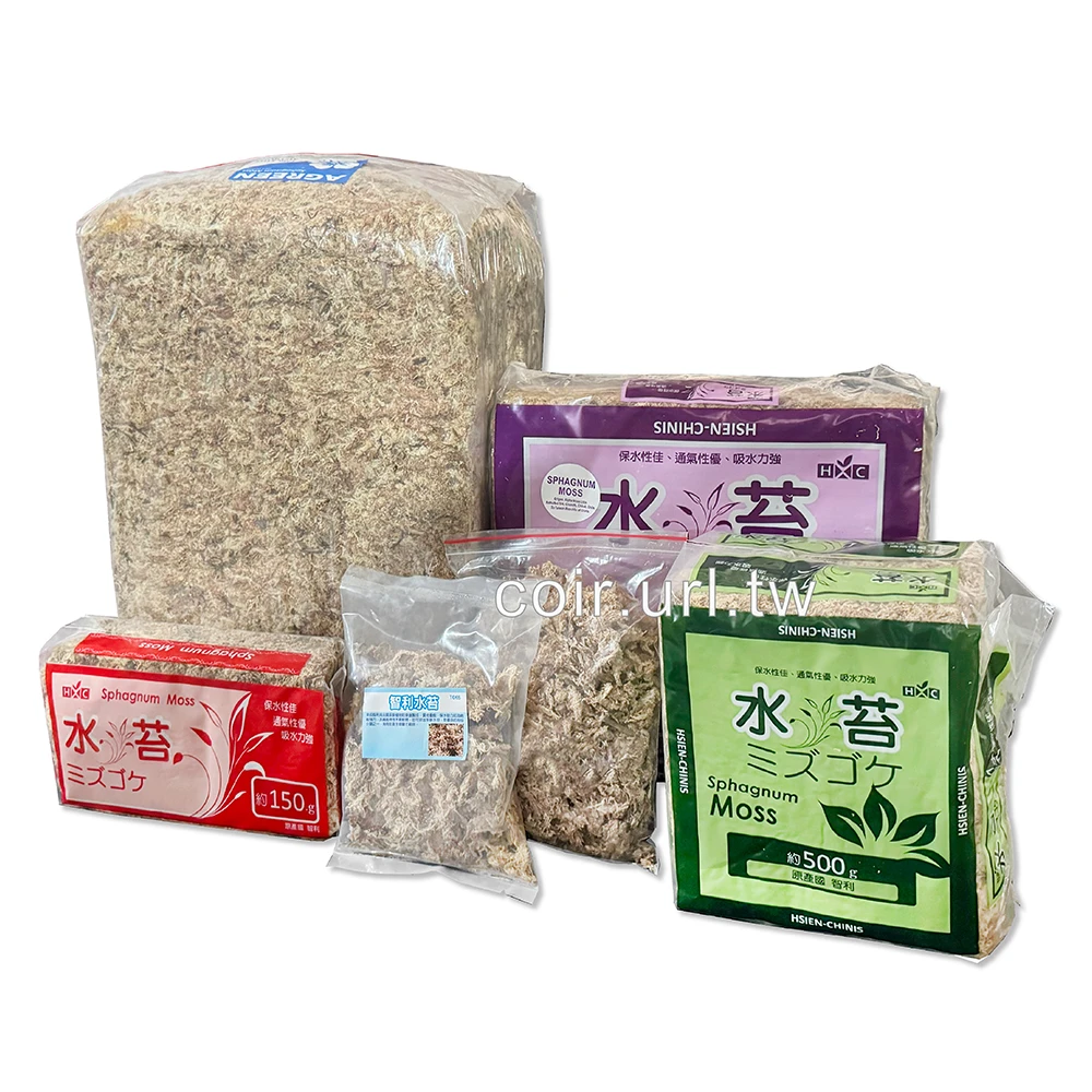 智利水苔(水草)