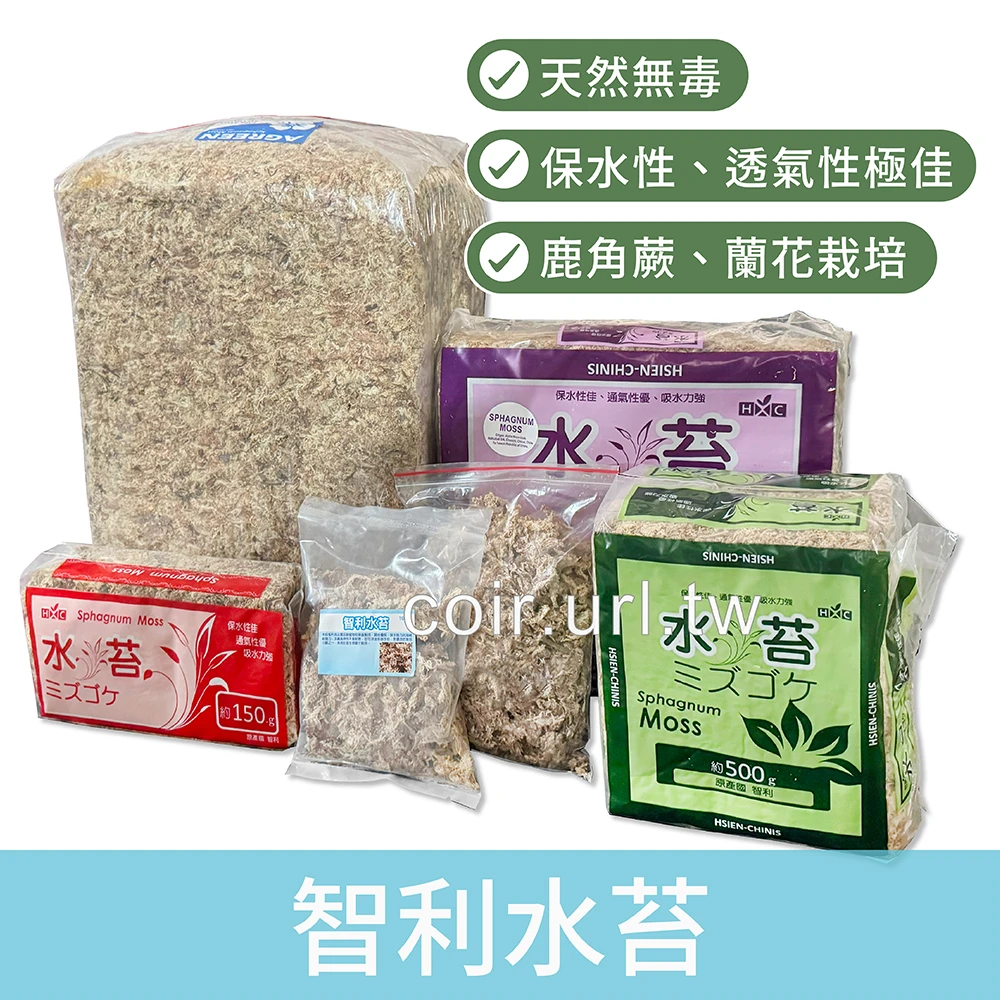 智利水苔(水草)