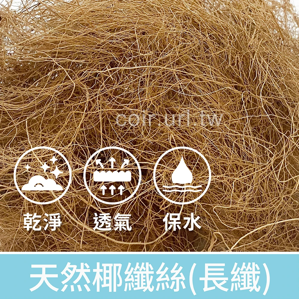 天然椰纖絲 長纖椰絲 椰棕絲