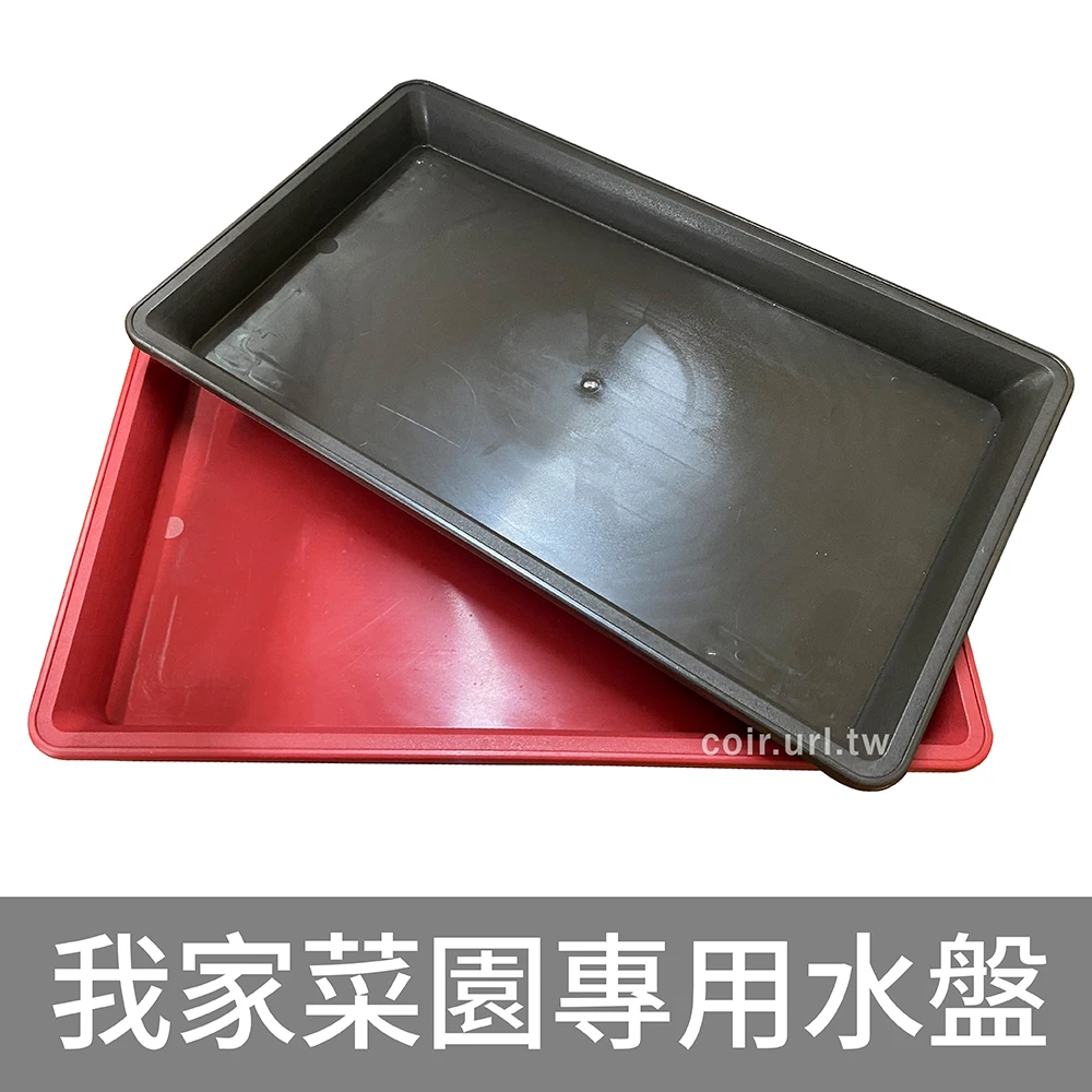 我家菜園專用水盤(58x32cm)大長方水盤