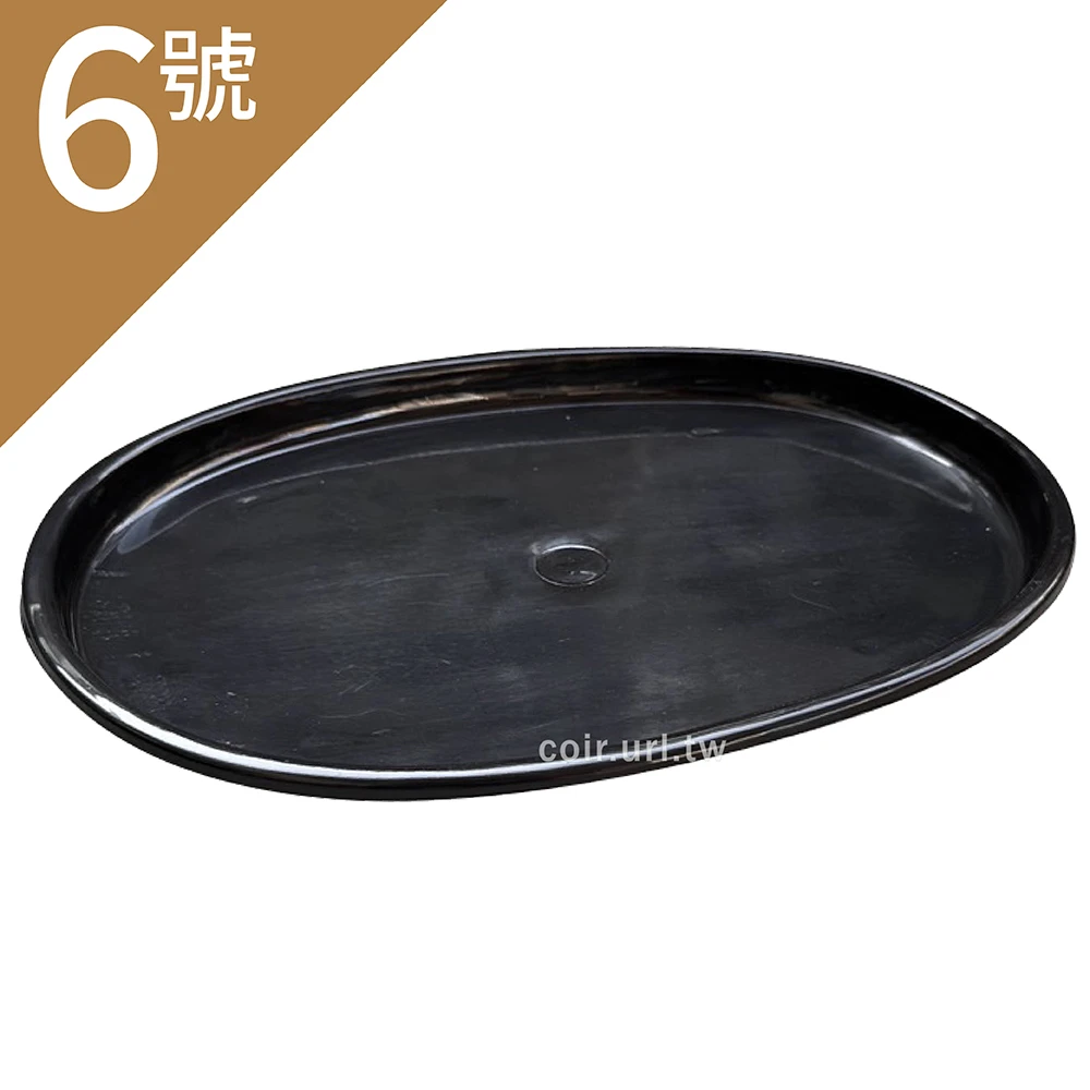 6號腰子水盤(內底19.7x12.6cm)