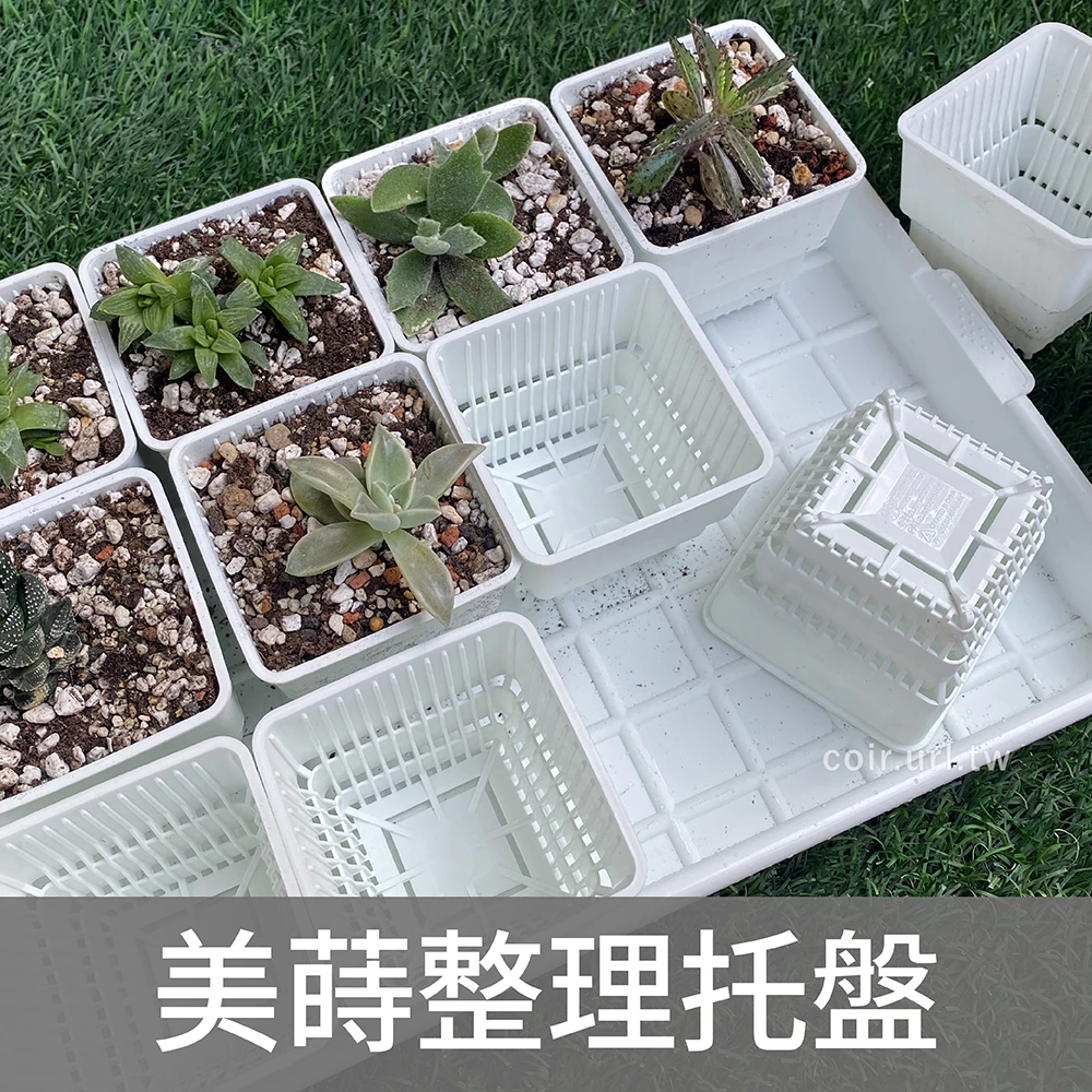 美蒔整理托盤-內徑31x21cm 長方水盤
