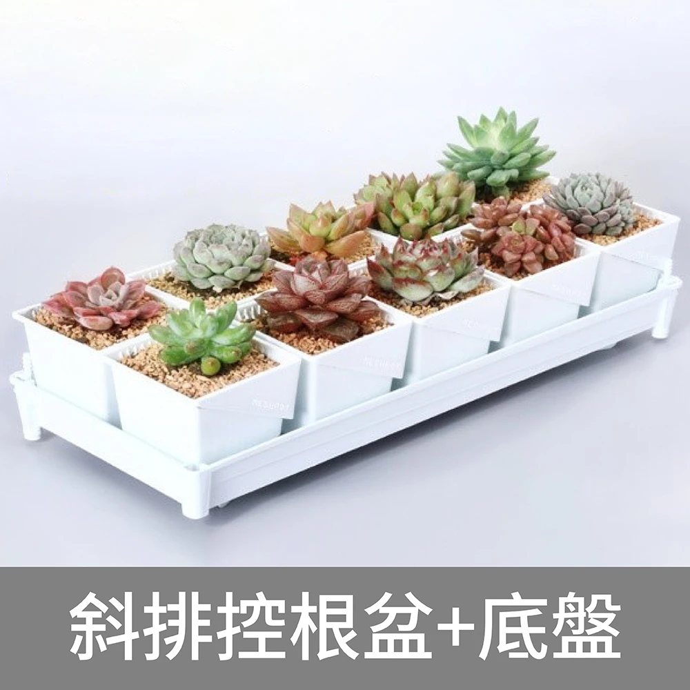 美蒔斜排控根盆10入＋可控儲水底盤(組合)