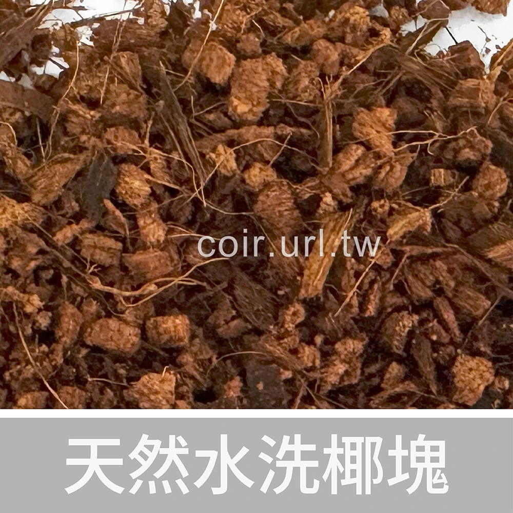 天然水洗椰塊-1公升 椰纖塊 椰棕塊 Coconut husk pieces