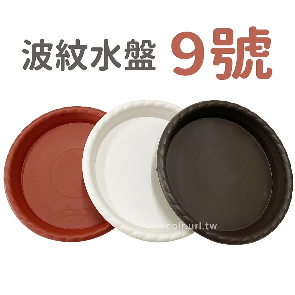 9號波紋水盤(內徑22.5cm)
