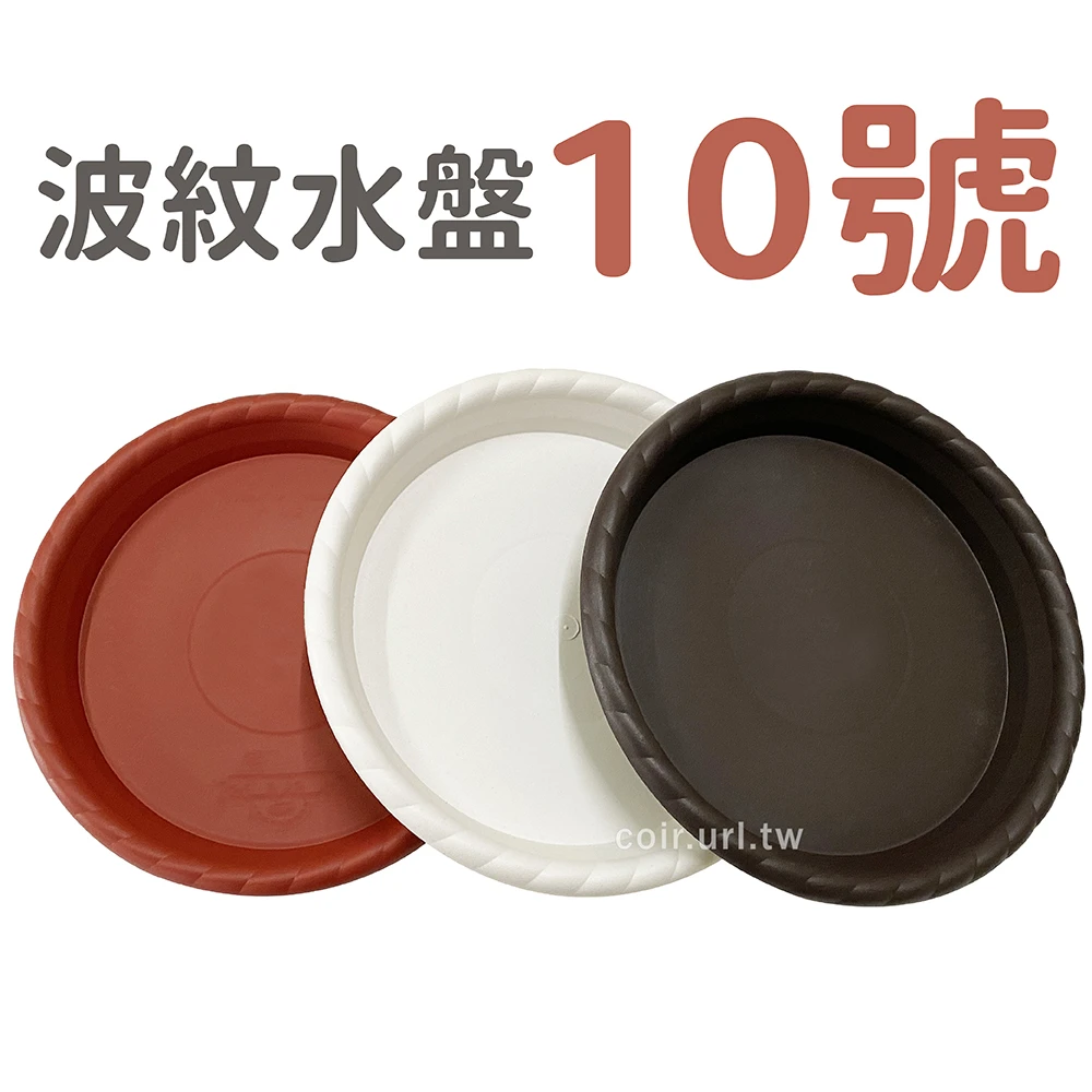 10號波紋水盤(內徑25cm)