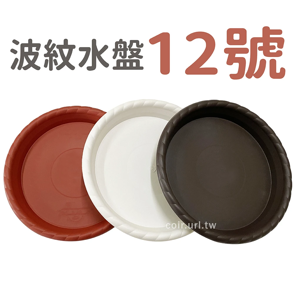 12號波紋水盤(內徑30cm)