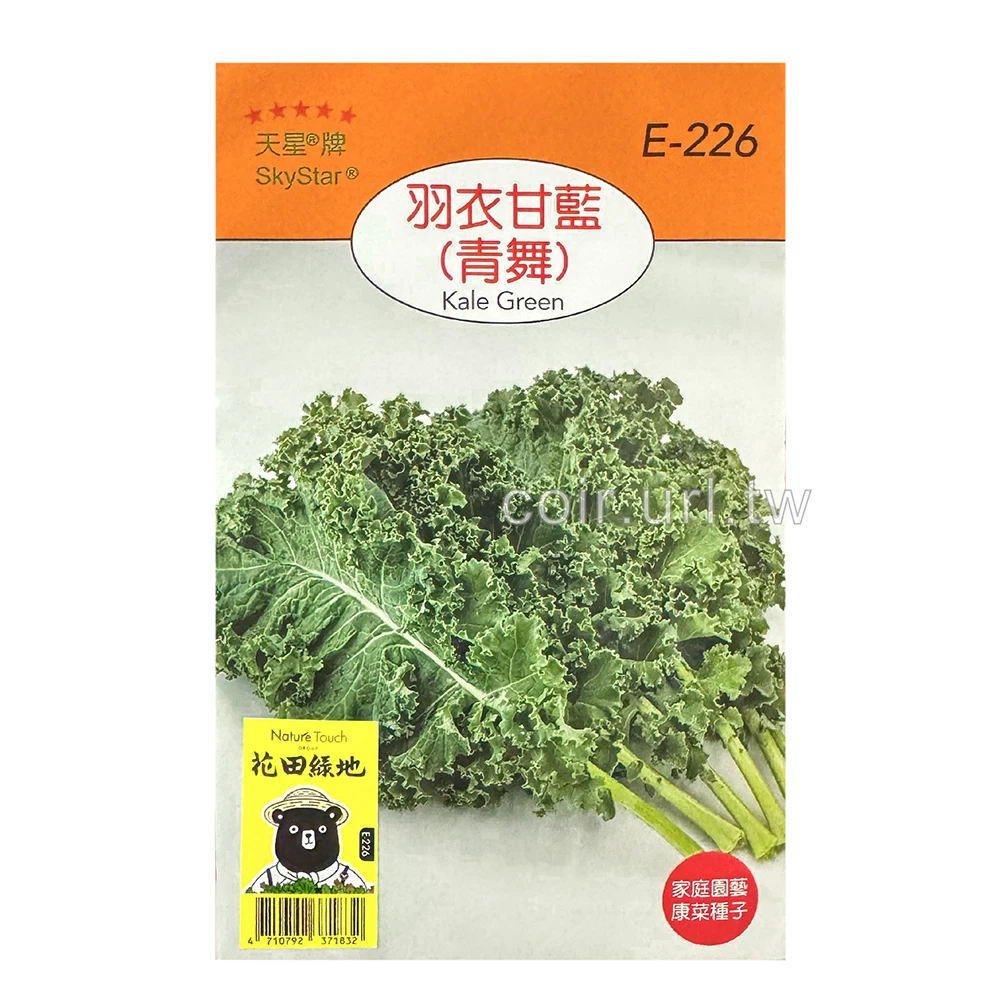 羽衣甘藍種子(青舞) Kale Green
