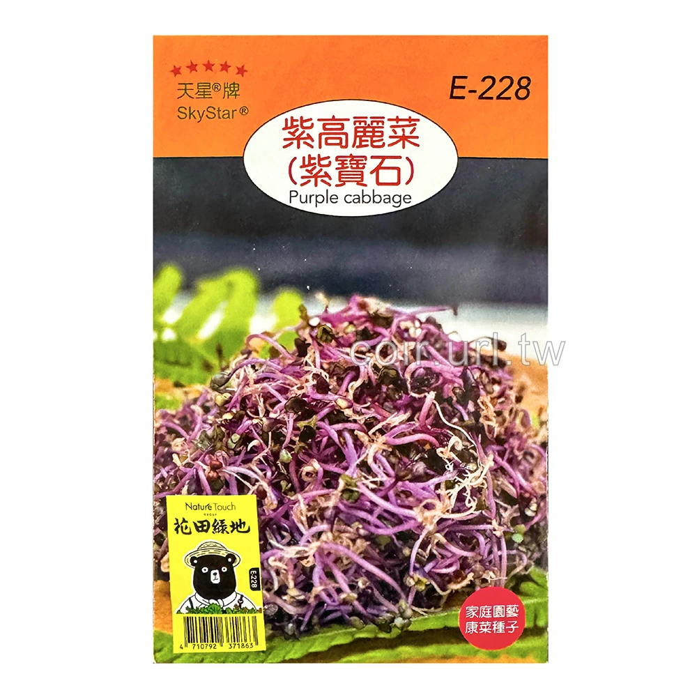 紫高麗菜種子(紫寶石)芽菜種子 Pueple cabbage