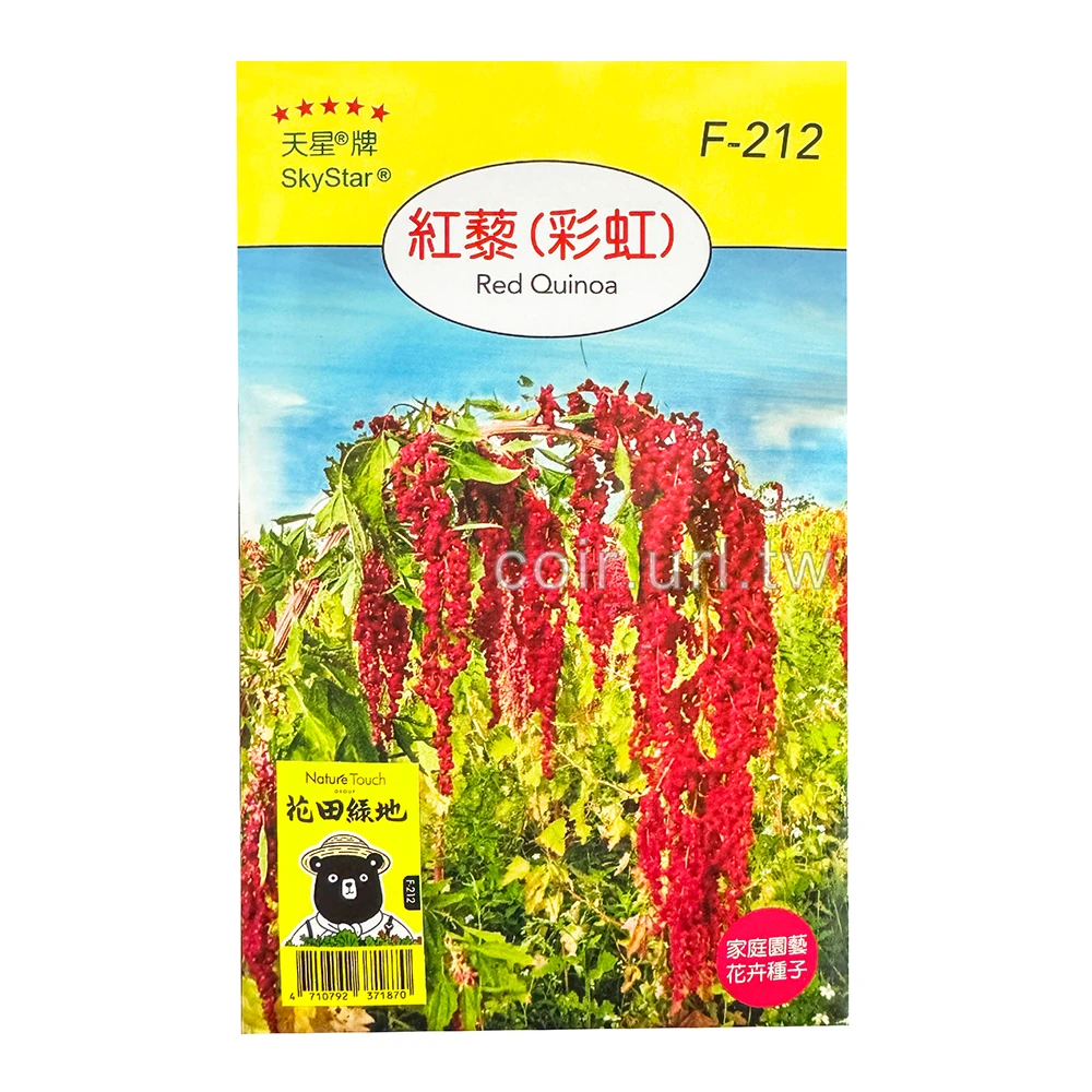紅藜種子(彩虹) Red Quinoa