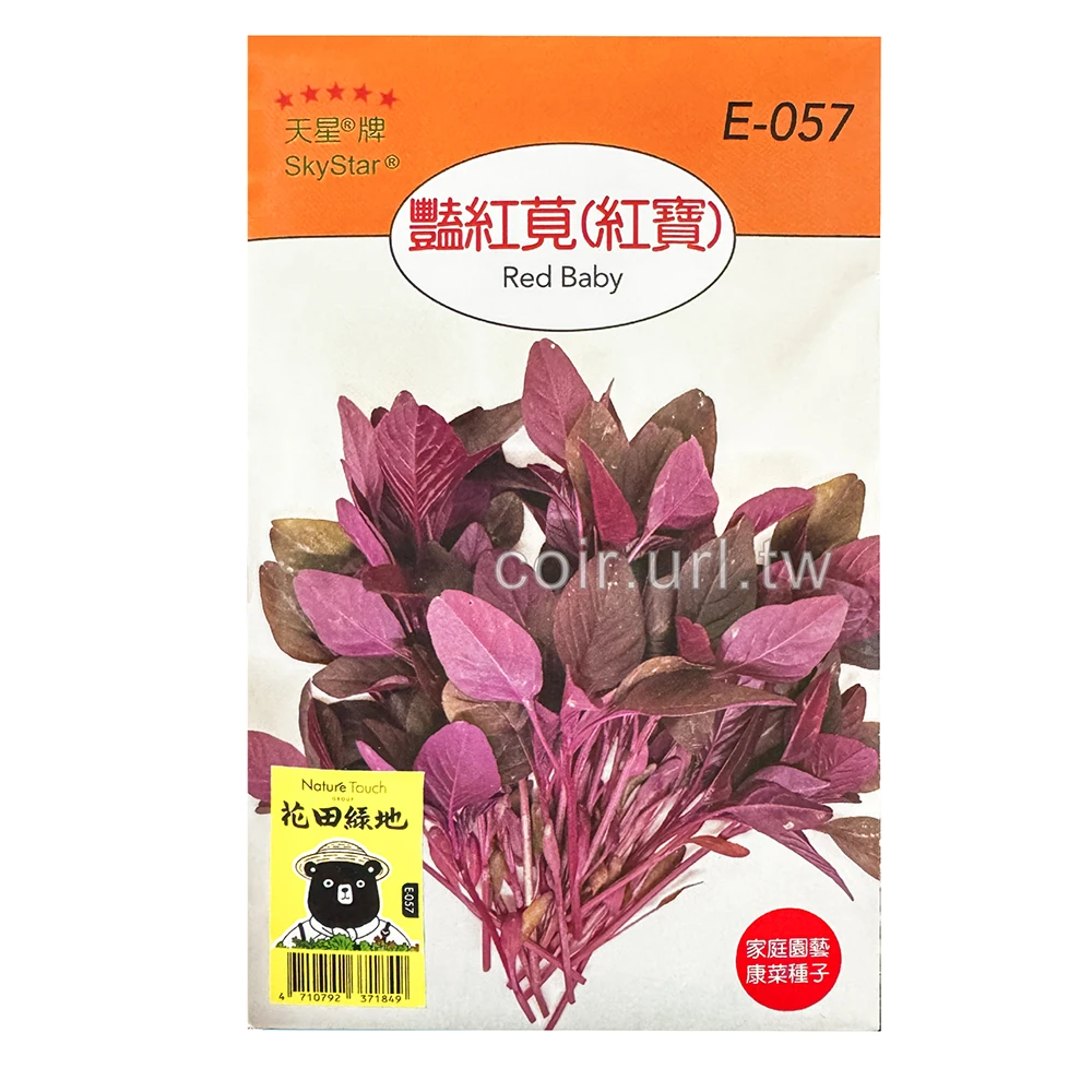 豔紅莧菜種子(紅寶) Red Baby