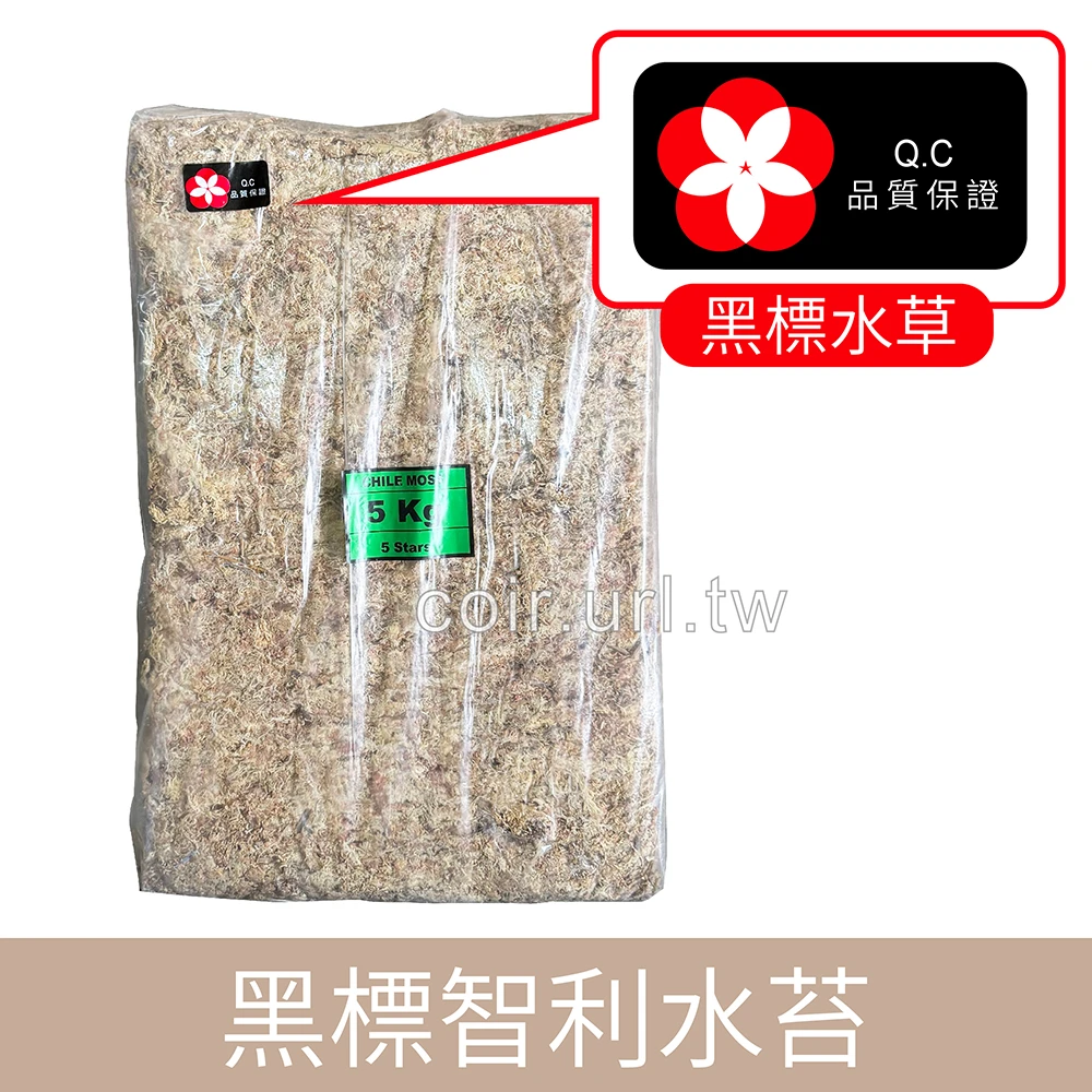 5★黑標智利水苔