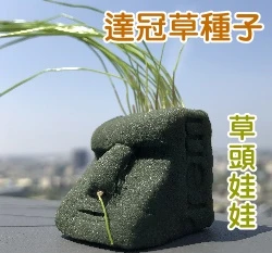 達冠草種子（草頭娃娃）黑麥草 快速形成草皮