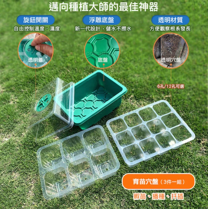 迷你溫室育苗箱(含透氣蓋)組合（透氣透明蓋+穴盤+綠色底盤）