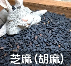 台灣黑芝麻種子 胡麻.油麻.芝麻芽菜