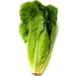 綠蘿蔓萵苣(羅美生菜)種子