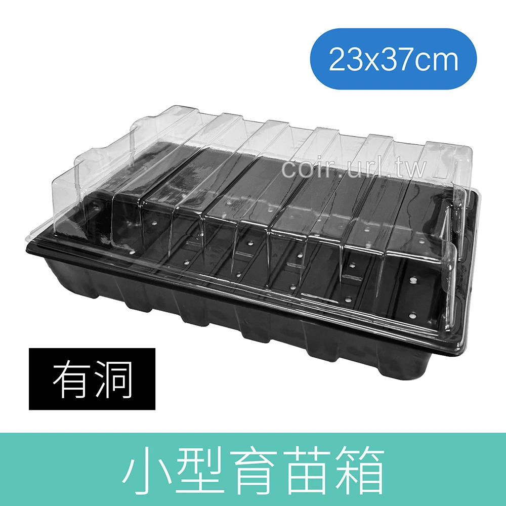 透明蓋育苗箱(有洞)小型23x37cm 育苗悶箱