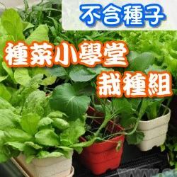 種菜小學堂-栽種組合(小花槽+底盤+肥+土)(不含種子)